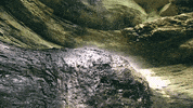 Hanover Panthers Waterfall GIF by Hanover College