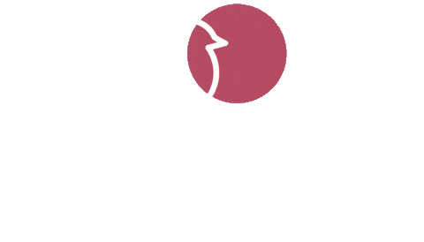 whitebirdcoffeestand giphyupload coffee white bird whitebird Sticker