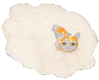 Kore Sticker