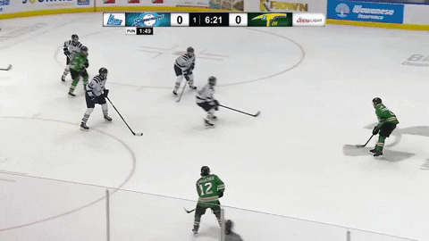 hockeyhighlights giphyupload GIF