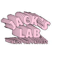 jackslab jacks lab jackslab Sticker