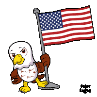 American Usa Sticker by VeeFriends