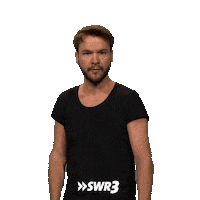 Swr3 Wow Sticker