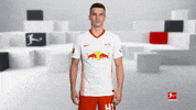Posing Line Up GIF by Bundesliga