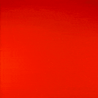 Coy Eakin GIF by Texas Tech Football
