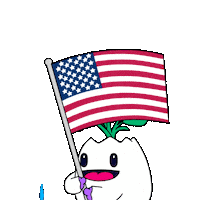 United States Usa Sticker by Magic Eden
