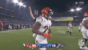 National Football League GIF by NFL