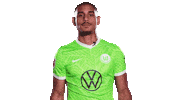 Football Sport Sticker by VfL Wolfsburg