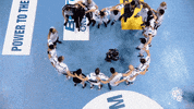 Sport Handball GIF by SEHA