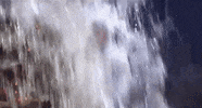 Jamie Lee Curtis Christmas GIF