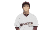 키움히어로즈 Sticker by Kiwoom Heroes Baseball Club