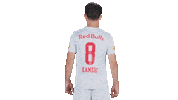 Football Sport Sticker by FC Red Bull Salzburg