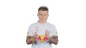 Football Sport Sticker by FC Red Bull Salzburg