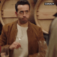 Jonathan Cohen Love GIF by CANAL+