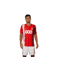 Football Soccer Sticker by Standard de Liège
