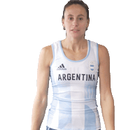 argfieldhockey hockey cah argfieldhockey trinchinetti Sticker