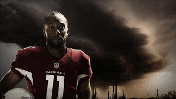 GIF by azcardinals