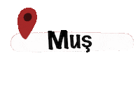 Mnks Iller 2 Sticker