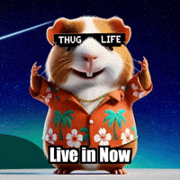Moment Wisdom GIF by Guinea Gambino