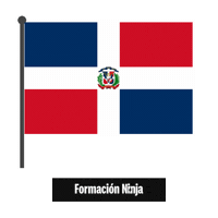 Republica Dominicana Flag Sticker by Formación Ninja