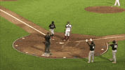 scoring minor league baseball GIF by Lansing Lugnuts