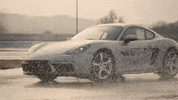 Sport Racing GIF by W Series