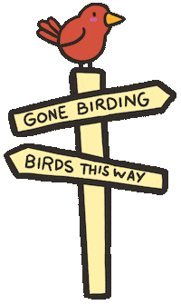 Bird Explore Sticker by BirdNerdsCanada