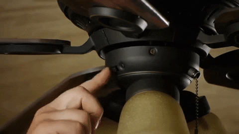 ninjasuggest giphygifmaker GIF