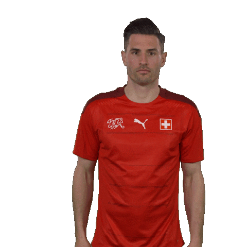 Swipe Up Fabian Schar Sticker by Swiss Football Association
