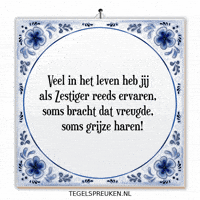 Humor Troost GIF by Tegelspreuken.nl