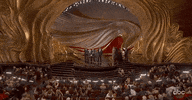 GIF by The Academy Awards