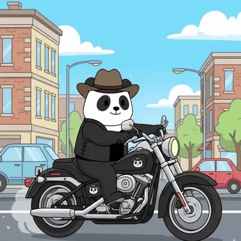 Motorcycle Tricks GIF by Pandu Pandas