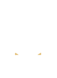 Boravender Sticker by Multiplus Proteção Veicular