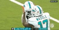 Regular Season Football GIF by NFL