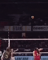 Volleybal Vakifbank GIF
