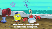 season 9 GIF by SpongeBob SquarePants
