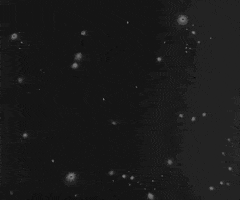 Season 1 Twilight Zone Original GIF by Paramount+