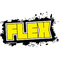 flex forward conference Sticker by Allie Schaal