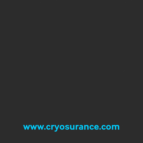 Website Cryotherapy GIF by Persist ventures