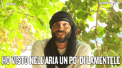 jonathan isola13 GIF by Isola dei Famosi