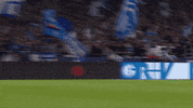 Happy Football GIF by FC Schalke 04
