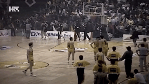 denisromantsov giphyupload GIF