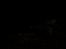 charlie brown GIF by Peanuts