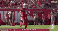 Regular Season Football GIF by NFL