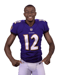 Baltimore Ravens Sticker Sticker by NFL
