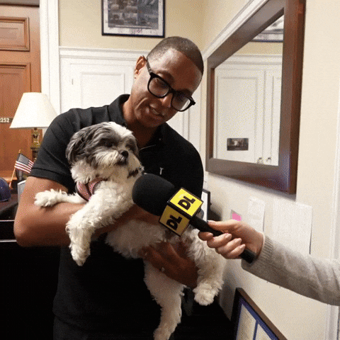 Don Lemon Interview GIF by Respective