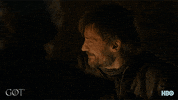 jaime lannister smile GIF by Game of Thrones