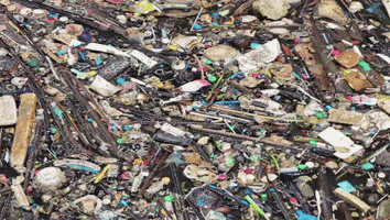 Plastics Plastic Pollution GIF by Oceana