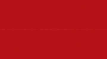 celebrate cricket world cup GIF by Bira 91