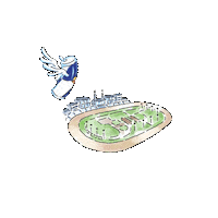 Racing Win Sticker by Red Bull